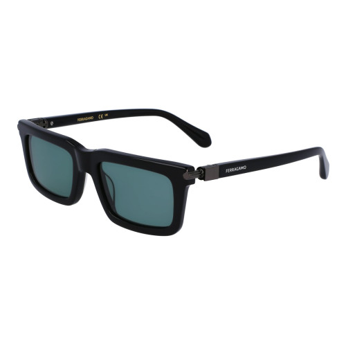 Ferragamo FERRAGAMO SF2015S532000 - Solglasögon Herr (53/20/145)