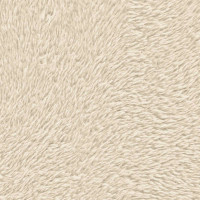 Produktbild för Kattträd med sisal klöspelare 2 st Gräddvit 147 cm