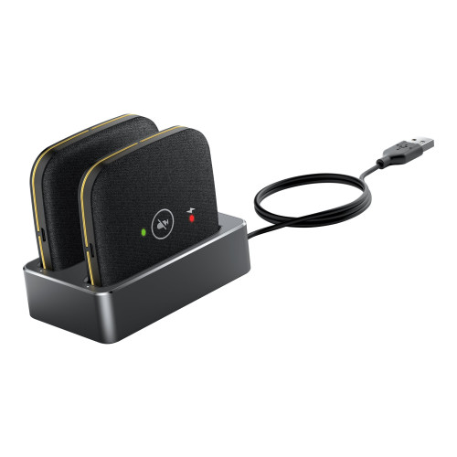 Yealink Network Technology Yealink CPW65-DECT-Duo - trådlös mikrofon