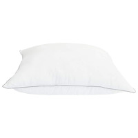 Produktbild för Kudde 2 st 80 x 80 cm Bambufiber Vit