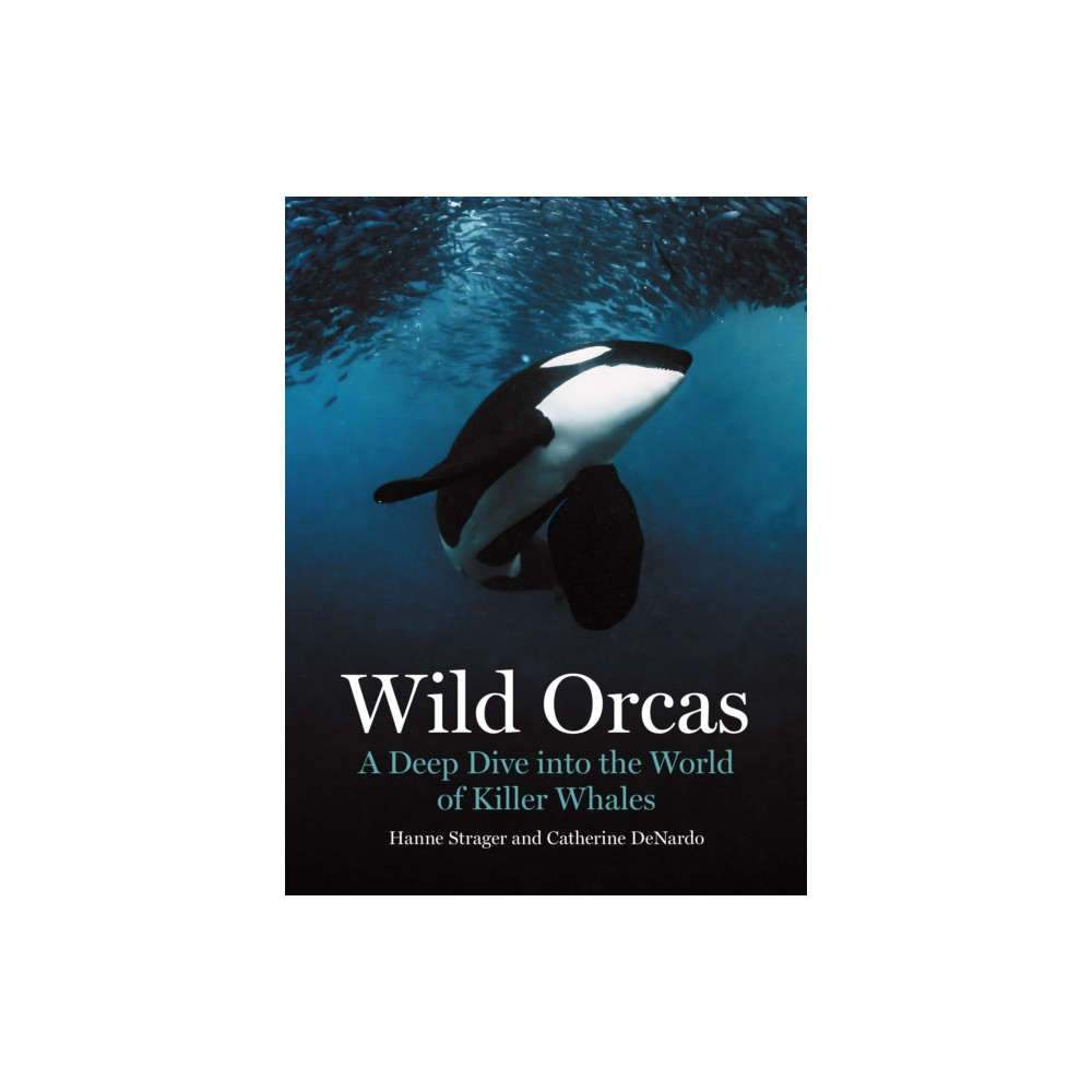 Produktbild för Wild Orcas (inbunden, eng)
