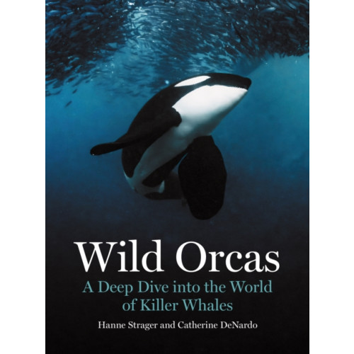 Princeton University Press Wild Orcas (inbunden, eng)
