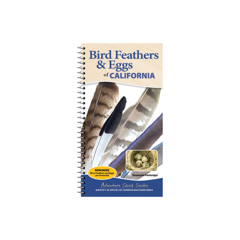 Produktbild för Bird Feathers & Eggs of California (bok, spiral, eng)