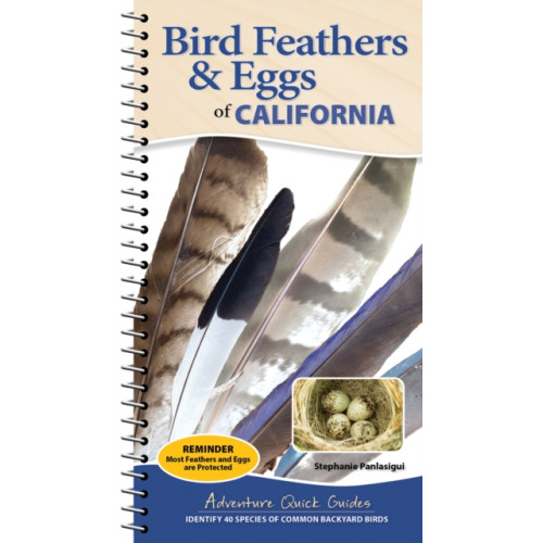Adventure Publications, Incorporated Bird Feathers & Eggs of California (bok, spiral, eng)