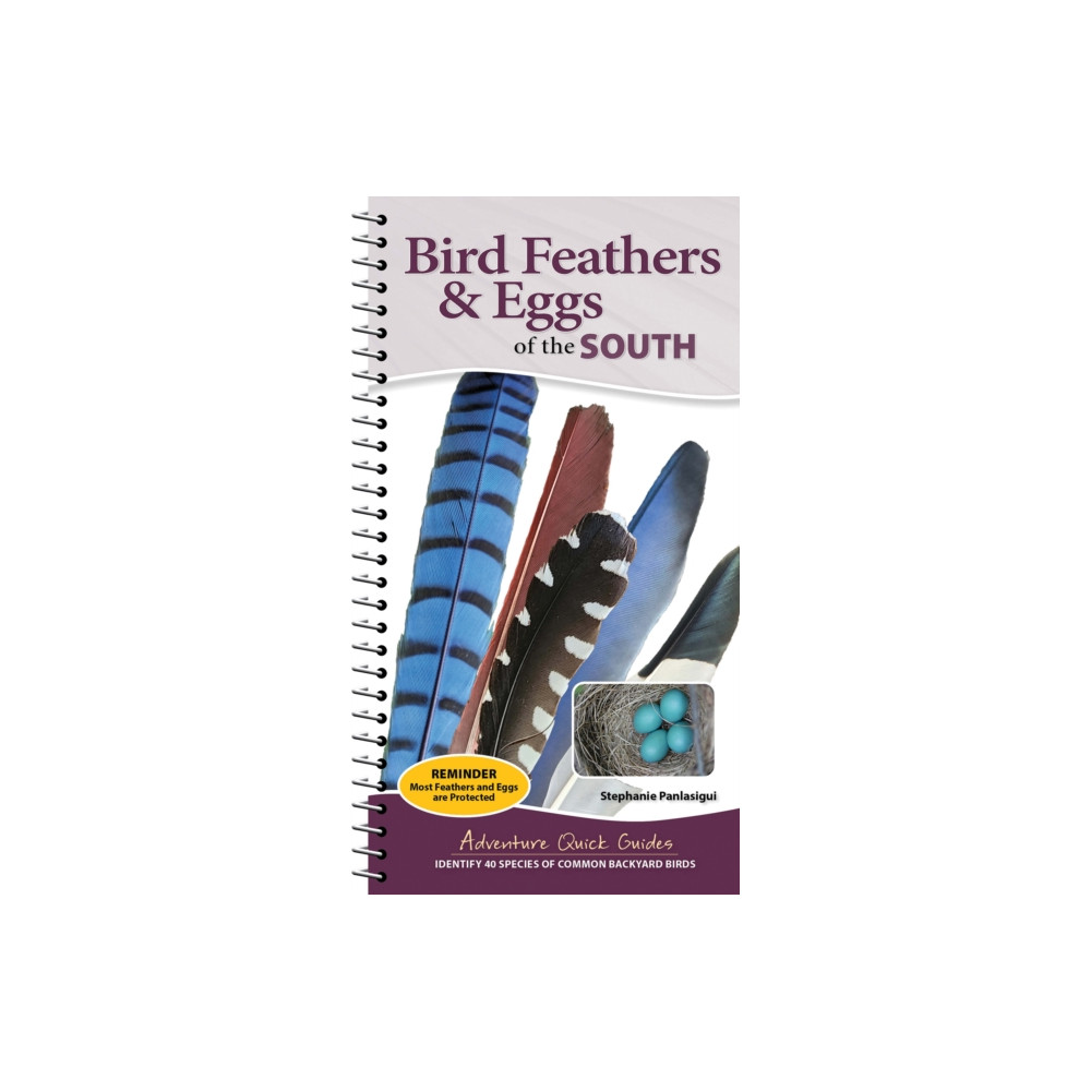 Produktbild för Bird Feathers & Eggs of the South (bok, spiral, eng)