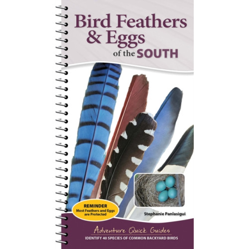 Adventure Publications, Incorporated Bird Feathers & Eggs of the South (bok, spiral, eng)