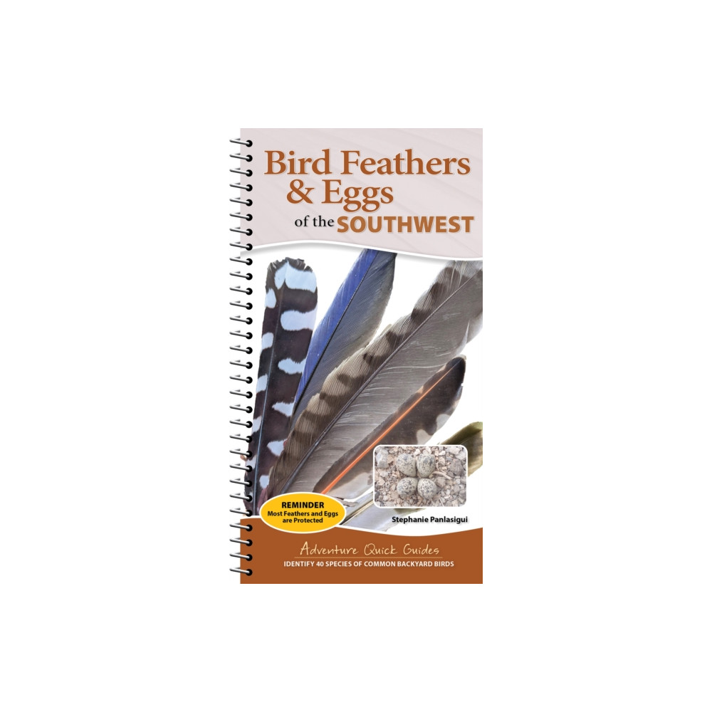 Produktbild för Bird Feathers & Eggs of the Southwest (bok, spiral, eng)