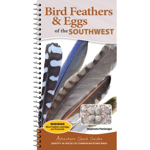 Adventure Publications, Incorporated Bird Feathers & Eggs of the Southwest (bok, spiral, eng)