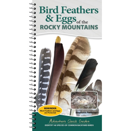 Adventure Publications, Incorporated Bird Feathers & Eggs of the Rocky Mountains (bok, spiral, eng)