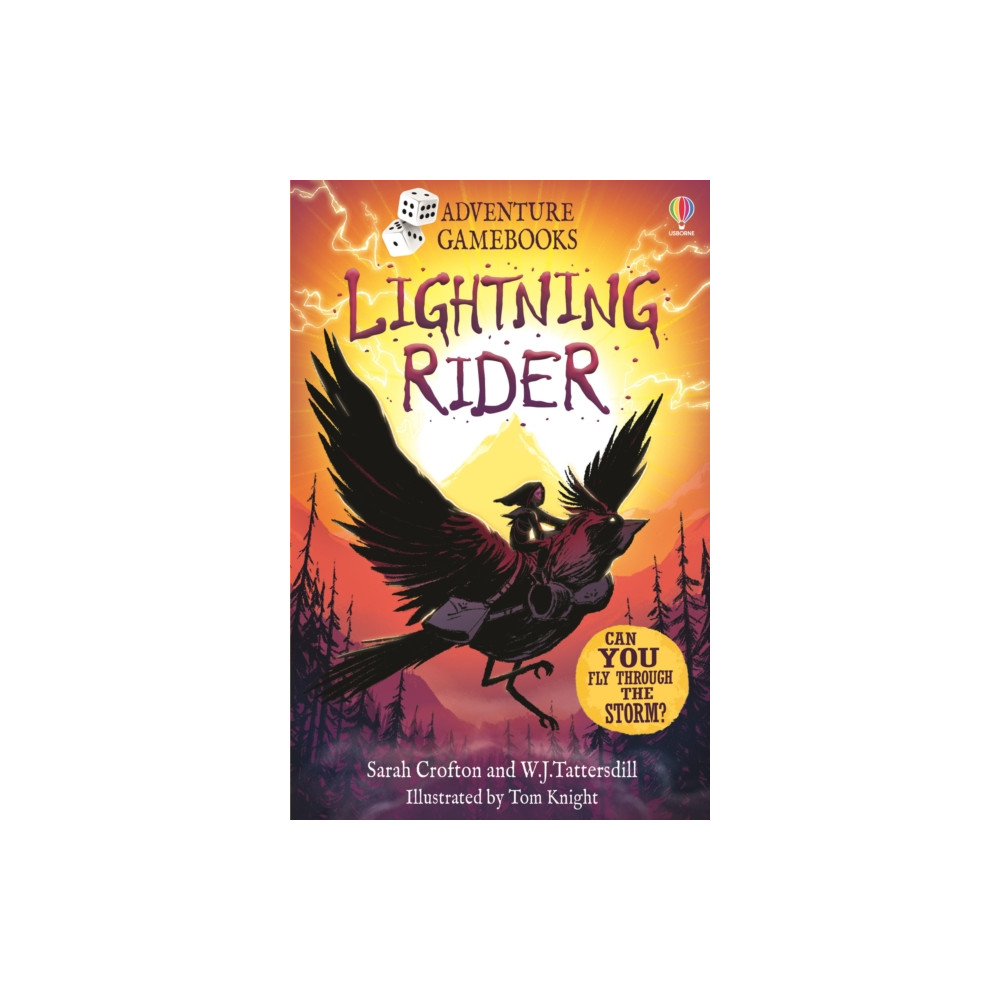 Produktbild för Lightning Rider (häftad, eng)