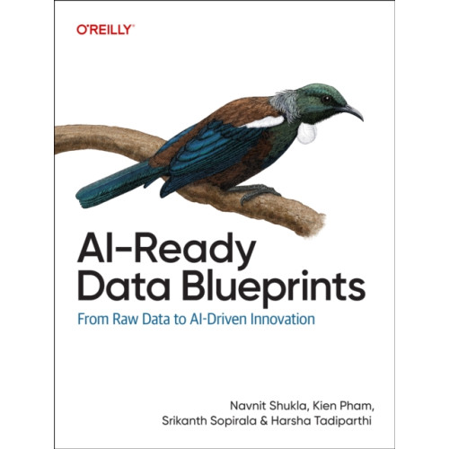 O'Reilly Media AI-Ready Data Blueprints (häftad, eng)