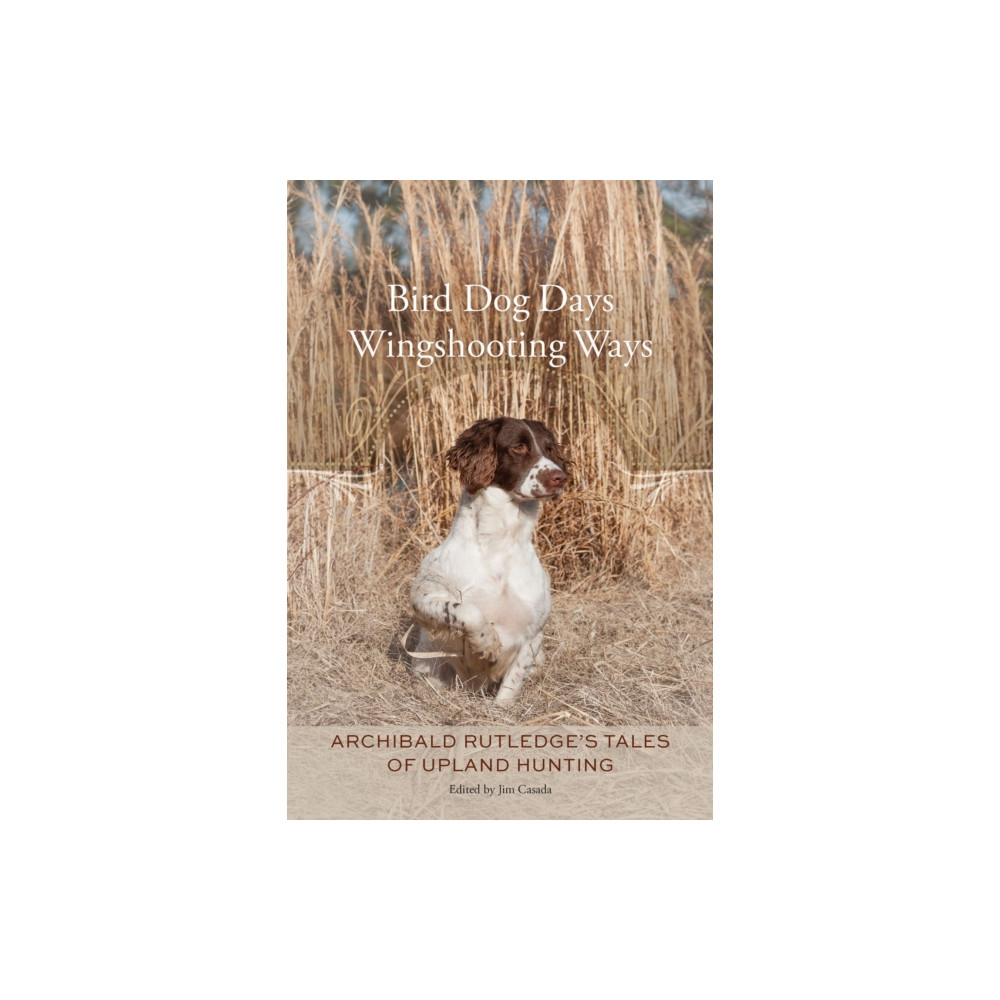 Produktbild för Bird Dog Days, Wingshooting Ways (häftad, eng)