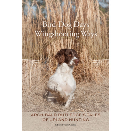 University of South Carolina Press Bird Dog Days, Wingshooting Ways (häftad, eng)