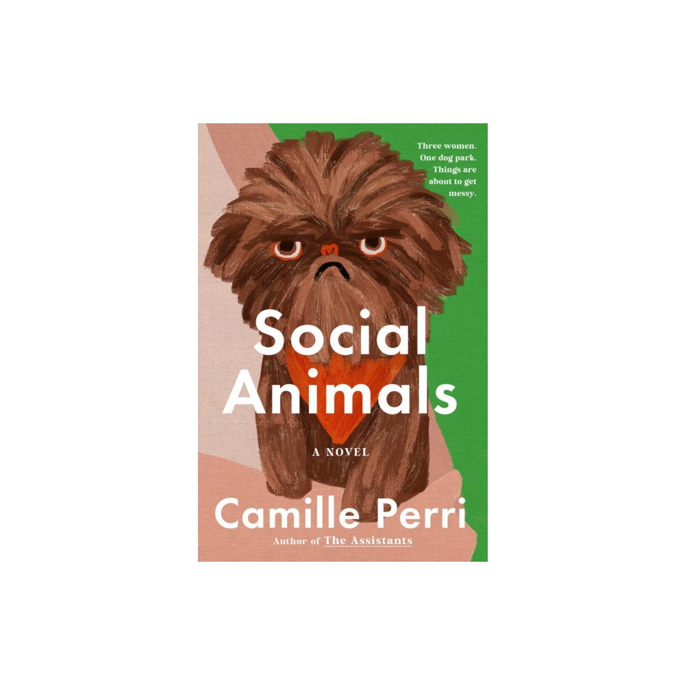 Produktbild för Social Animals (inbunden, eng)