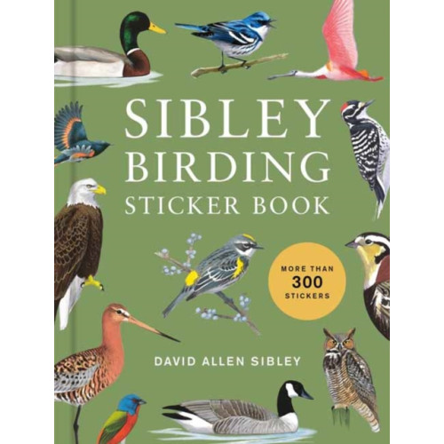 Random House USA Inc Sibley Birding Sticker Book (inbunden, eng)