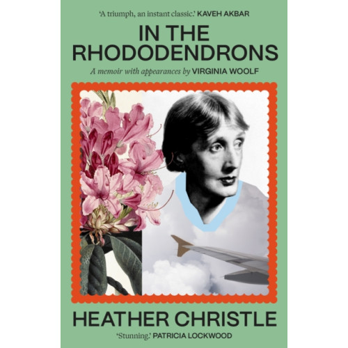 Little, Brown Book Group In the Rhododendrons (häftad, eng)