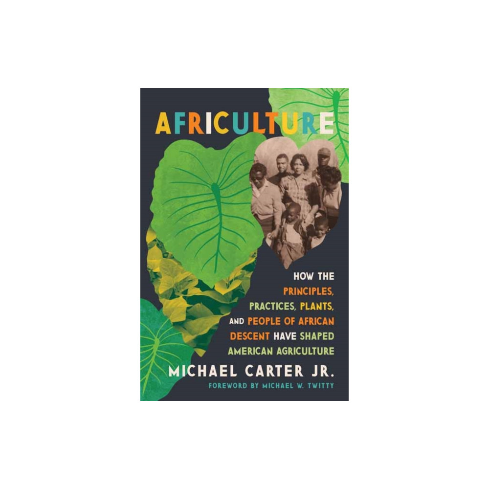 Produktbild för Africulture (inbunden, eng)