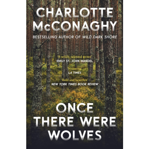 Vintage Publishing Once There Were Wolves (häftad, eng)