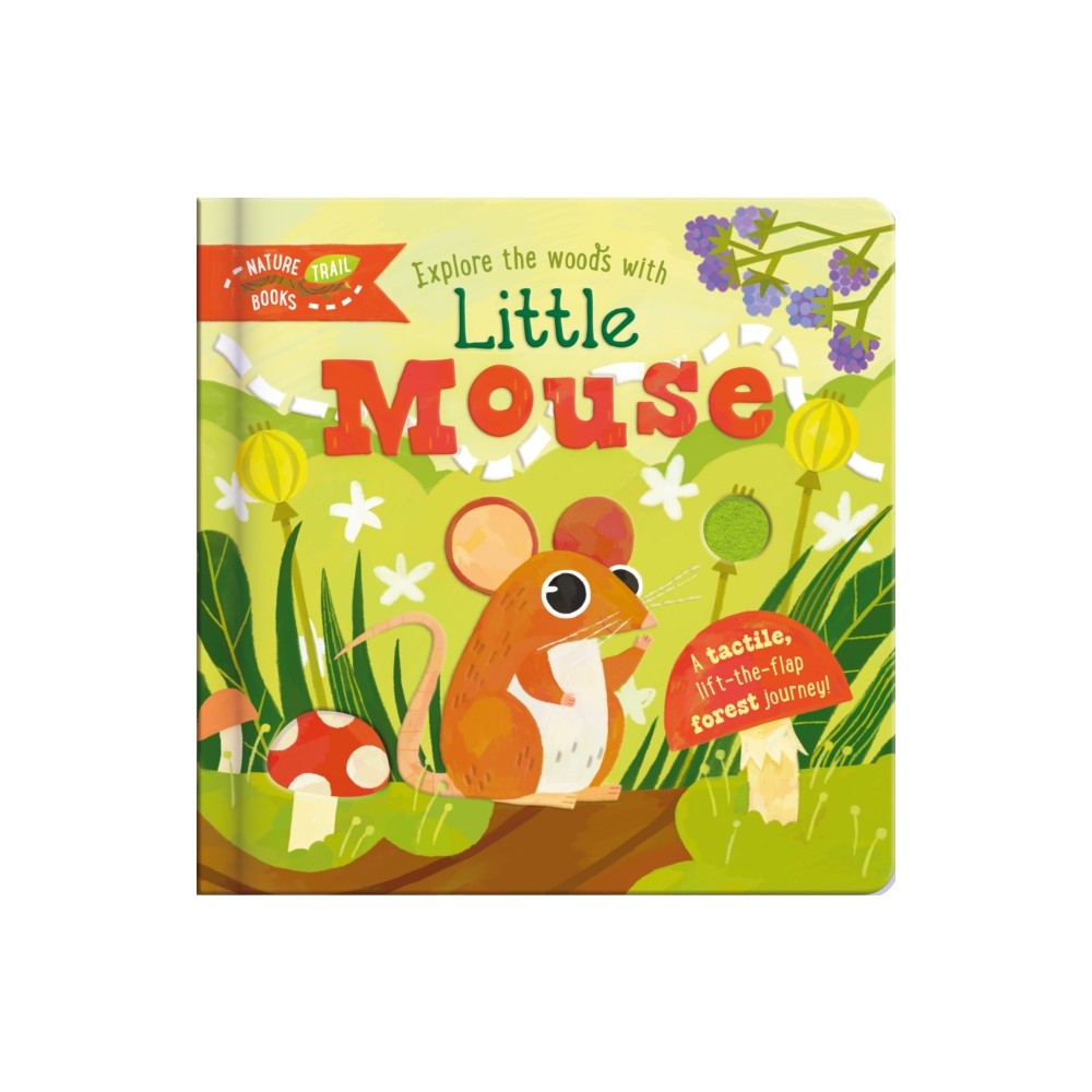 Produktbild för Explore the Woods with Little Mouse (bok, board book, eng)