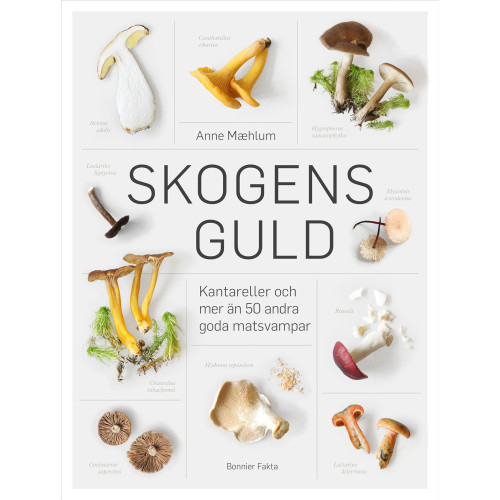 Anne Maehlum Skogens guld (inbunden)