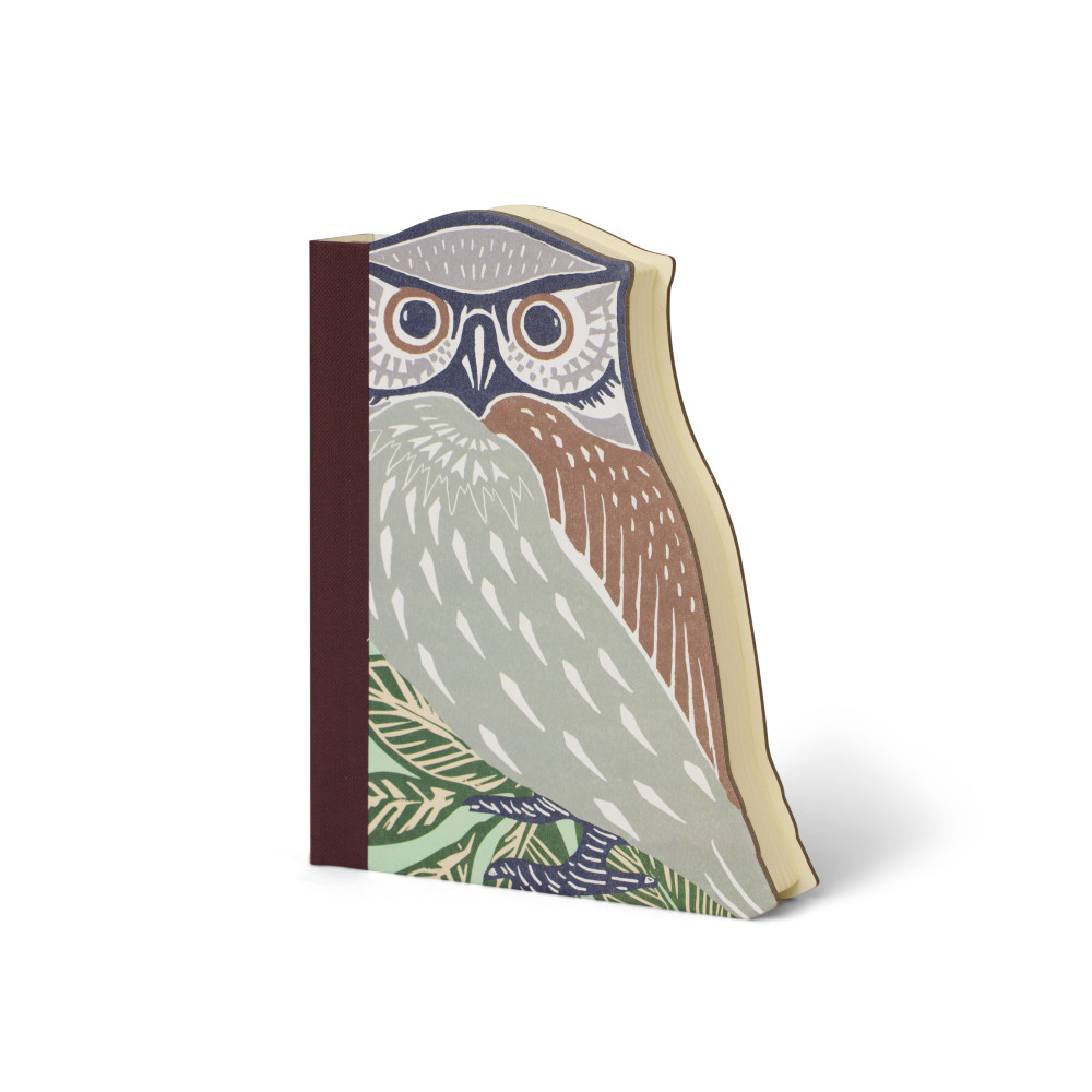 Produktbild för Eclectionery Notable Books - Owl Anteckningsbok (bok, eng)