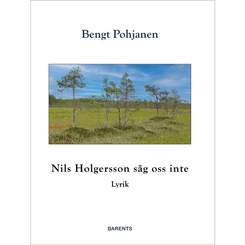 Bengt Pohjanen Nils Holgersson såg oss inte (bok, danskt band)