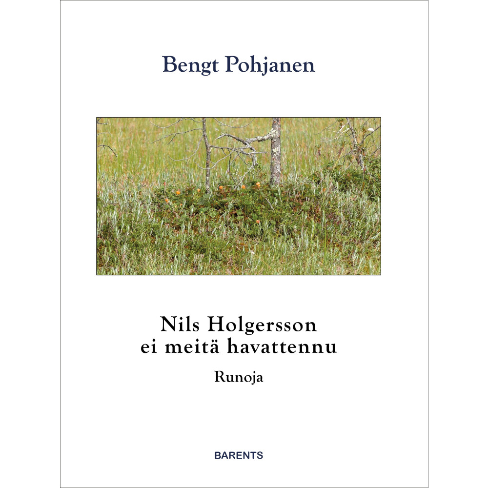 Produktbild för Nils Holgersson ei meitä havattennu (bok, danskt band, fit)