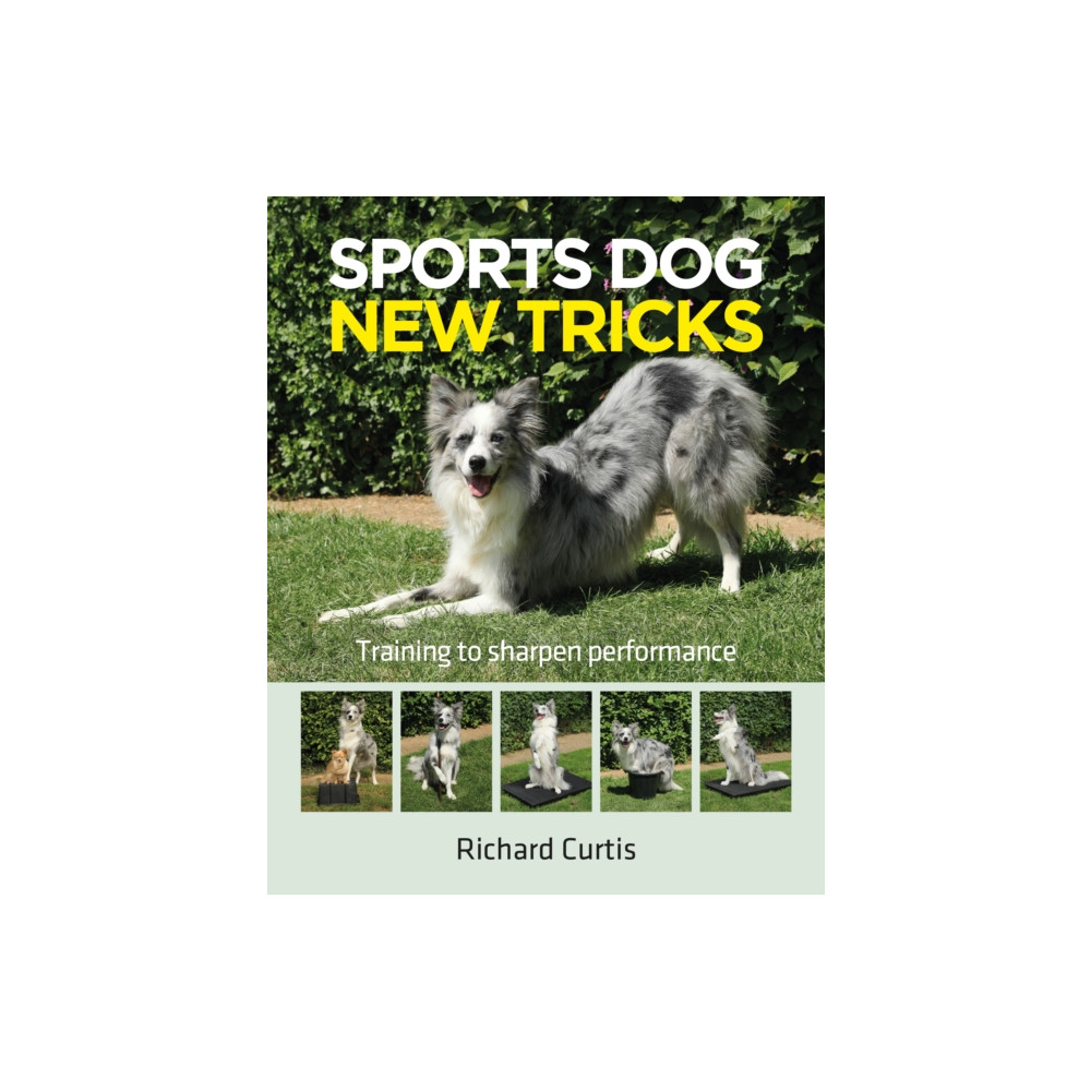 Produktbild för Sports Dog New Tricks (häftad, eng)