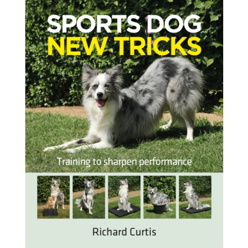 First Stone Publishing Sports Dog New Tricks (häftad, eng)