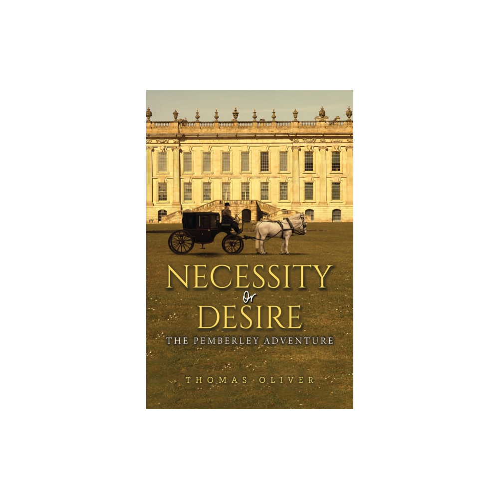 Produktbild för Necessity or Desire (häftad, eng)