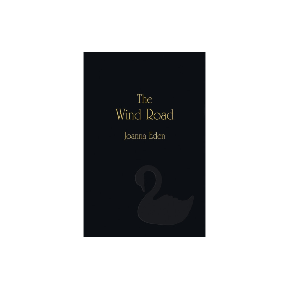 Produktbild för The Wind Road (inbunden, eng)