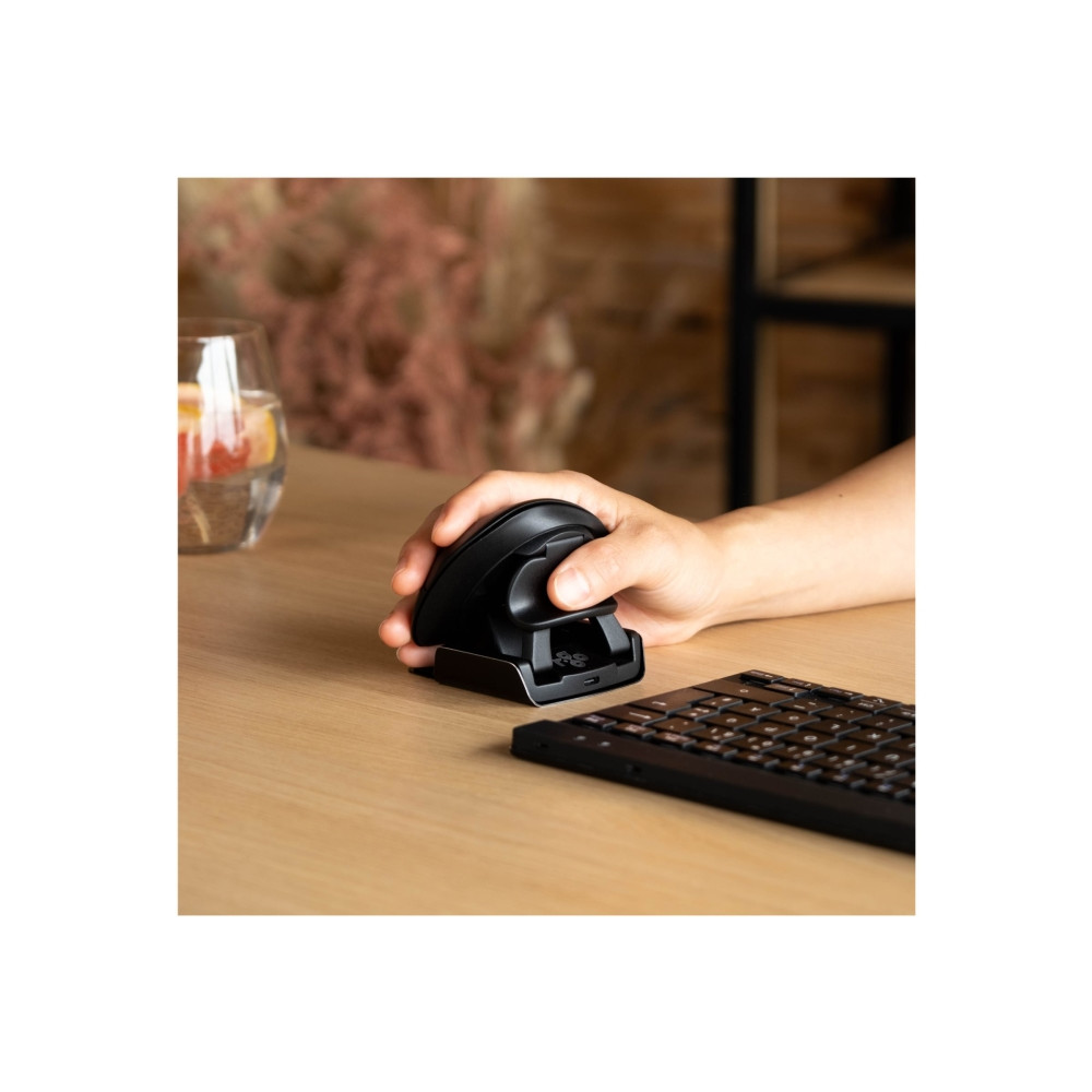 Produktbild för R-Go Ambidextrous Ergonomic mouse Twister
