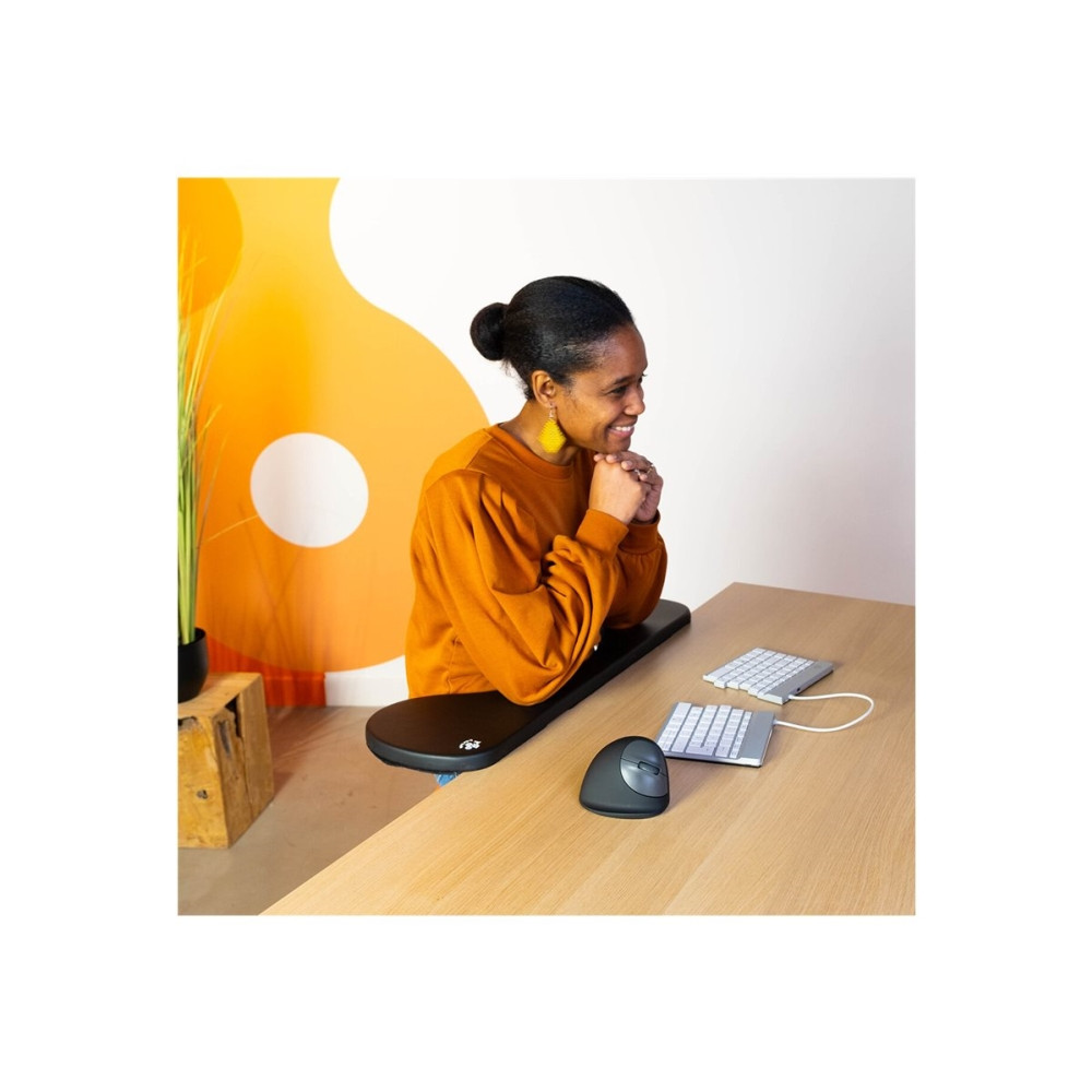 Produktbild för R-Go Ambidextrous Ergonomic mouse Twister