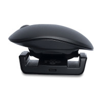 Produktbild för R-Go Ambidextrous Ergonomic mouse Twister