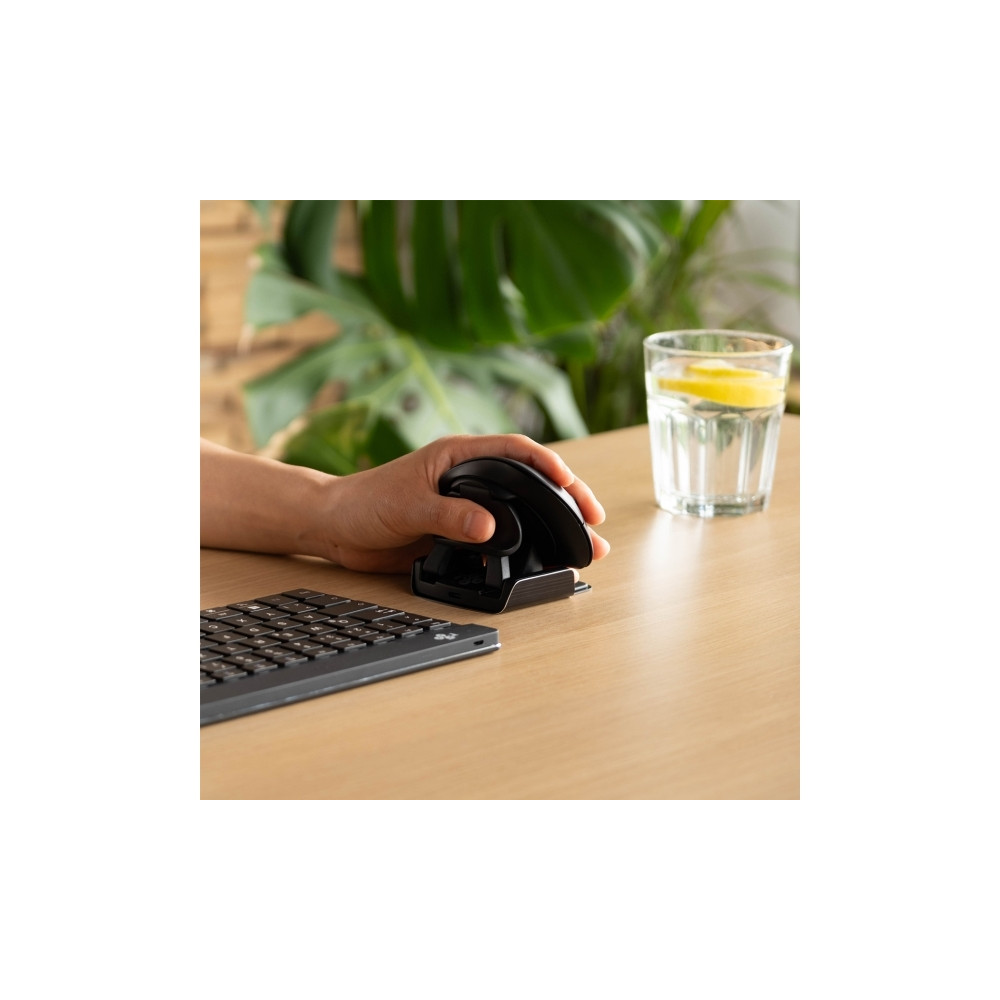 Produktbild för R-Go Ambidextrous Ergonomic mouse Twister