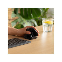 Produktbild för R-Go Ambidextrous Ergonomic mouse Twister