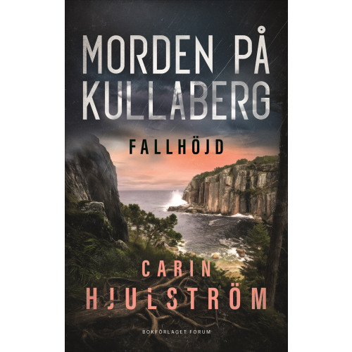 Carin Hjulström Fallhöjd (inbunden)