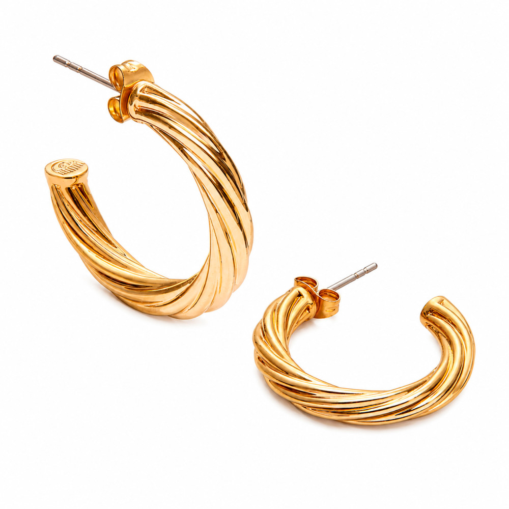 Produktbild för CHIARA FERRAGNI J19AXP11 - Earrings Dam (2,7CM)