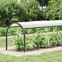 Produktbild för Växtskydd Transparent 10 x 1,5 m PE