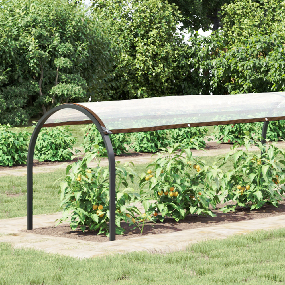 Produktbild för Växtskydd Transparent 20 x 1,5 m PE