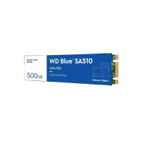 Produktbild för WD Blue SA510 WDS500G3B0B-00AXS0