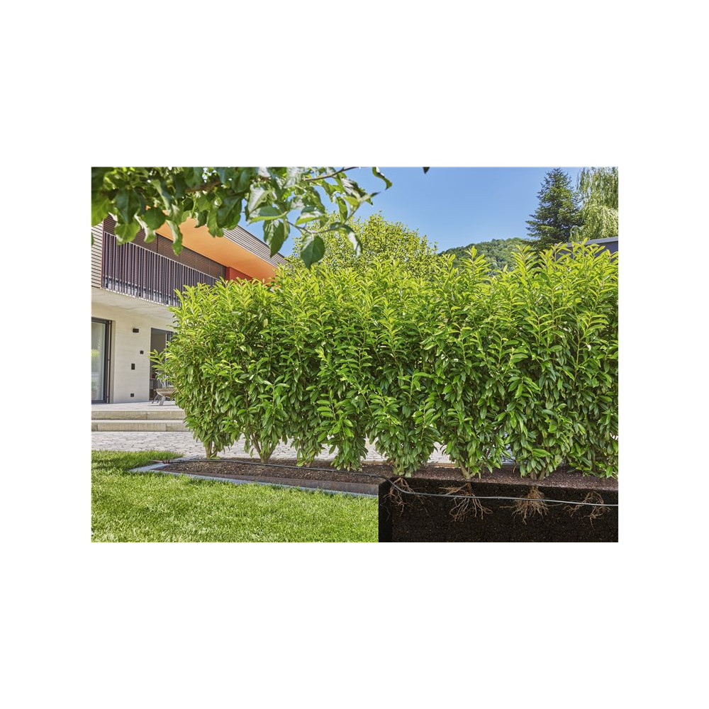 Produktbild för Gardena Micro-Drip-System Hedge/Bush Set - droppbevattningslinje - 50 m