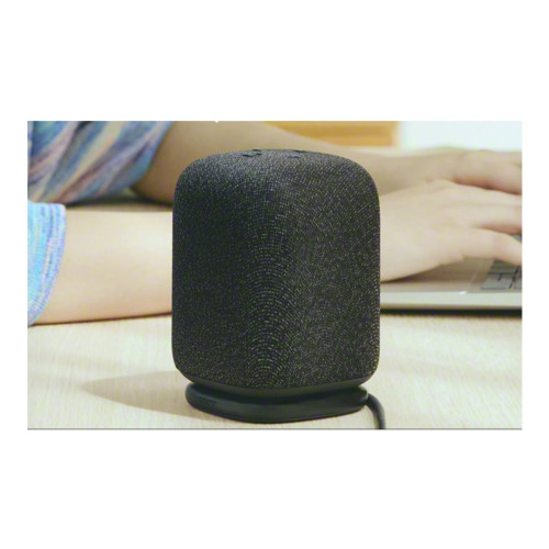 Sony Sony LinkBuds SRS-LS1