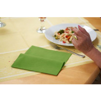 Produktbild för Duni - servett - Unicolor - örtgrå - Storlek 40 x 40 cm (paket om 50)
