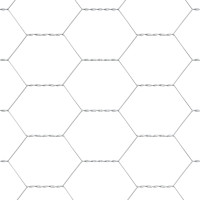 Produktbild för Hönsgård med tak Silver 200 x 200 x 150 cm Galvaniserat stål