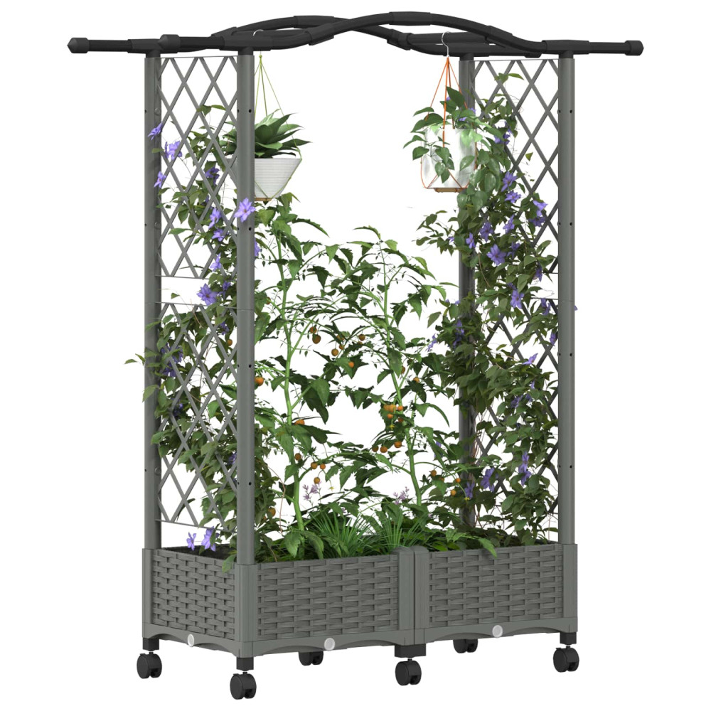 Produktbild för Upphöjd Bädd med Spaljé och Tak Ljusgrå 124 x 40 x 129 cm PP