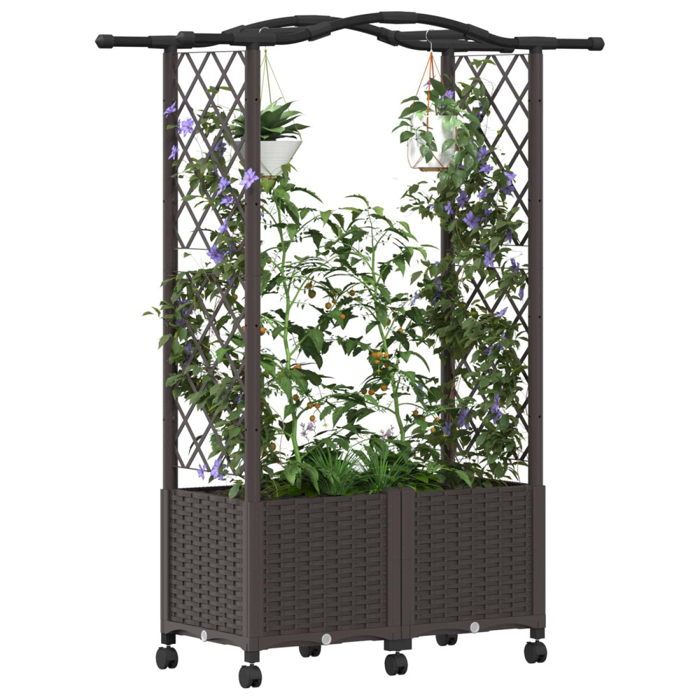 Produktbild för Upphöjd Bädd med Spaljé och Tak Brun 125 x 40 x 144 cm PP