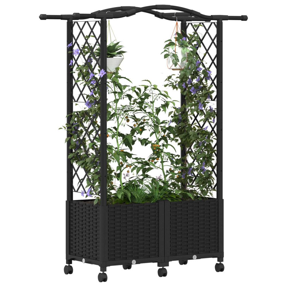 Produktbild för Upphöjd Bädd med Spaljé och Tak Svart 125 x 40 x 144 cm PP