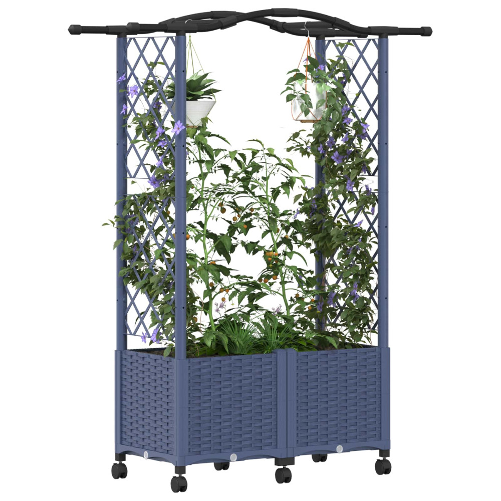 Produktbild för Upphöjd Bädd med Spaljé och Tak Grå 125 x 40 x 144 cm PP