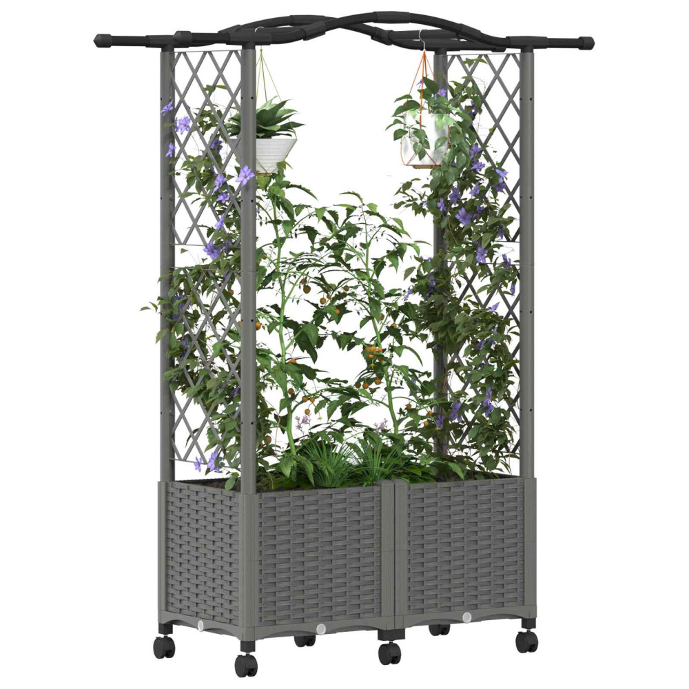 Produktbild för Upphöjd Bädd med Spaljé och Tak Ljusgrå 125 x 40 x 144 cm PP